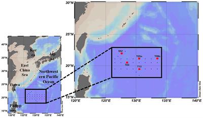 Physiological characteristics of phytoplankton in response to different light environments in the Philippine Sea, Northwestern Pacific Ocean
